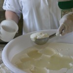 fabrication de fromage de chèvre visiter la ferme blois vendome