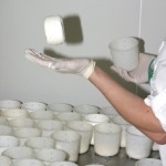 fabrication de fromage de chèvre fermier romilly